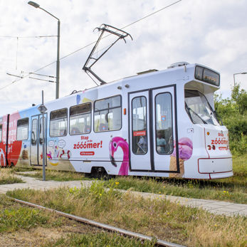 GTL Tram met zomercampagne bestickering GTL Tram met zomercampagne bestickering